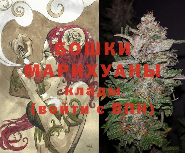 apvp Арсеньев